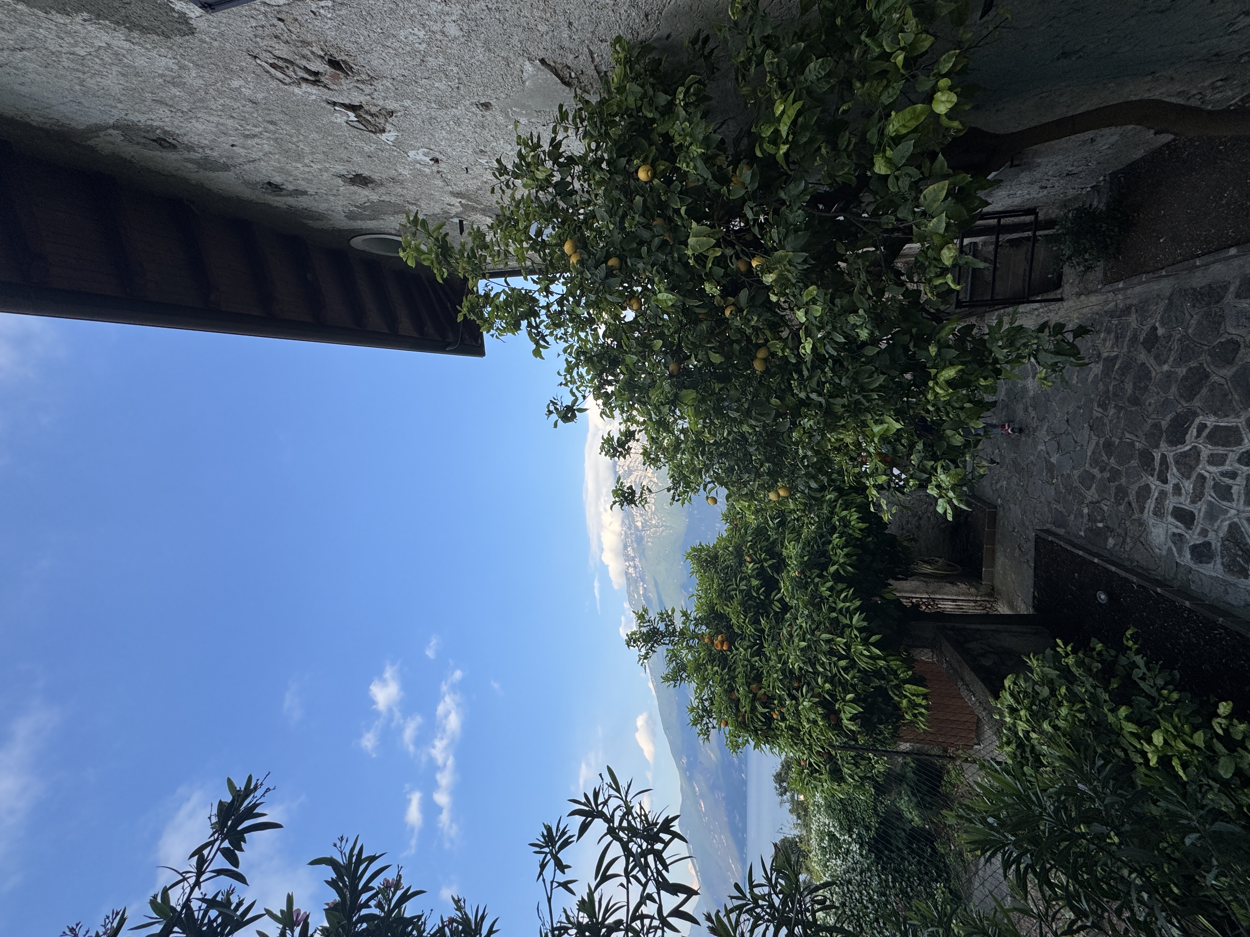Personal Photography